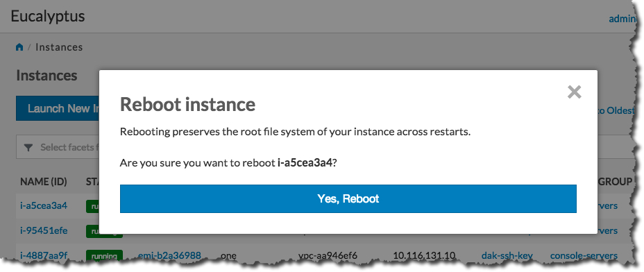 Eucalyptus Console Reboot Instance