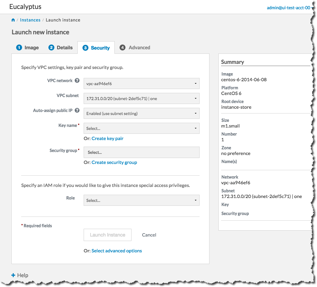 Eucalyptus Console Launch Instance