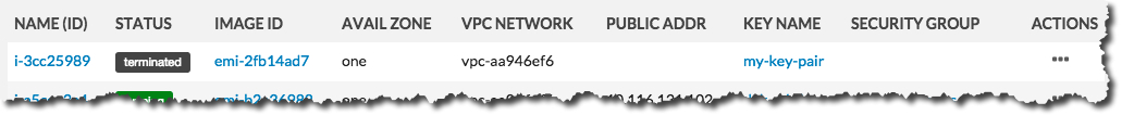 Eucalyptus Console Terminate Instance