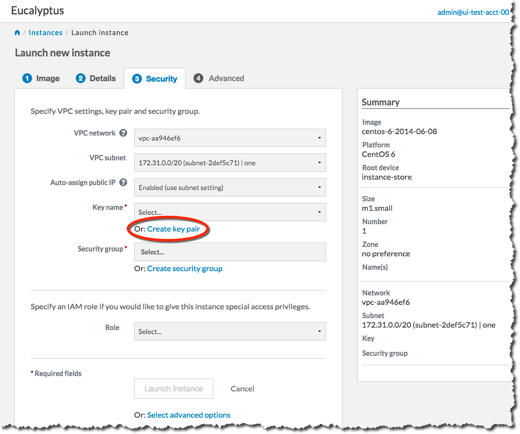 Eucalyptus Console Launch Instance