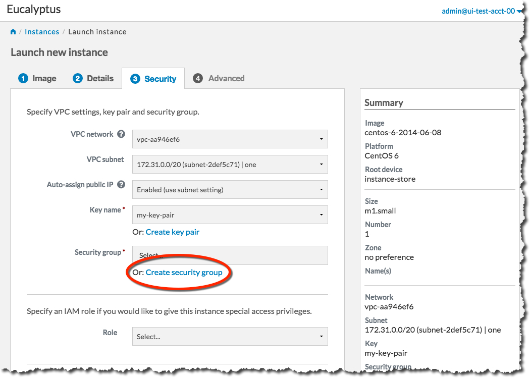 Eucalyptus Console Launch Instance