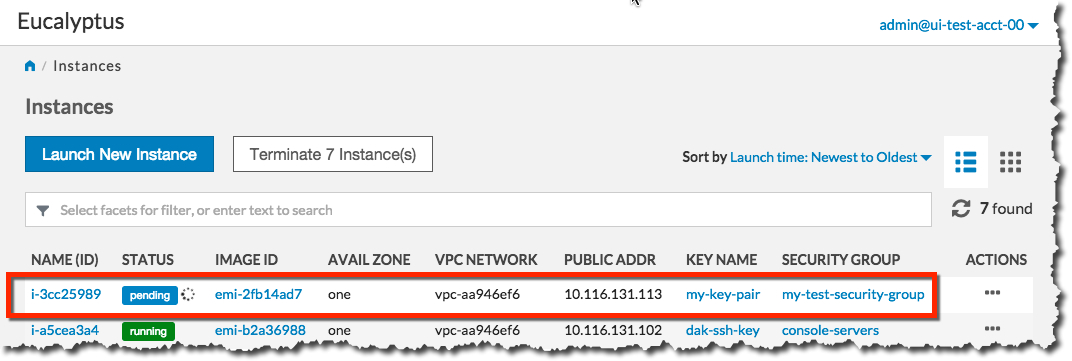 Eucalyptus Console Launch Instance