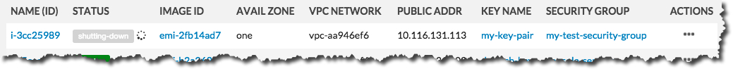 Eucalyptus Console Terminate Instance